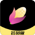 熟玉米提词器下载-熟玉米视频appv1.0.0 最新版