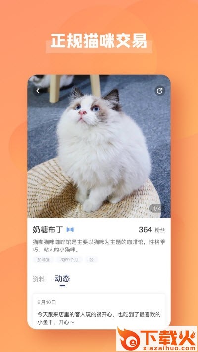 宠酱截图2