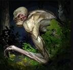 瑞克怪物猎人 v1.2 安卓版