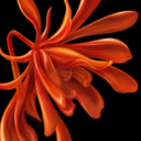 栖家app v2.2.80 安卓版