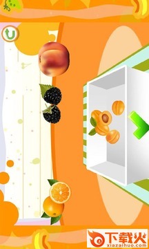 宝宝认水果截图2