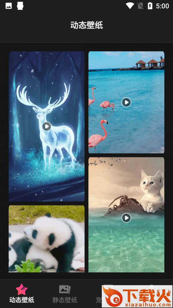 猫咪壁纸app截图2