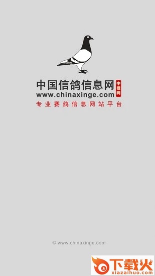 中国信鸽信息网app下载截图2