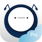 养车大Vpro版下载-养车大Vprov1.0.27 最新版