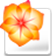 adobe illustrator cs2 绿色版 v12.0 简体中文版 