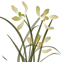 绘画板app-绘画板app下载v1.2.0 安卓版