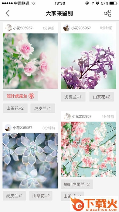花伴侣电脑版 v3.2.4 官方pc版 截图1