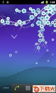 Blooming Night Pro花夜动态壁纸截图1