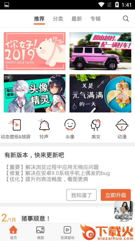 2019猪年壁纸截图1