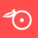 石榴 v4.0.4 安卓版