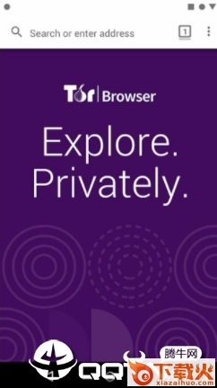 Tor Browser安卓版截图3