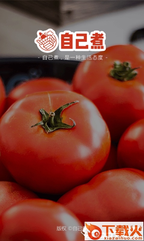 自己煮截图1