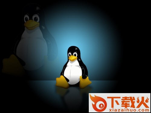 Linux Kernel