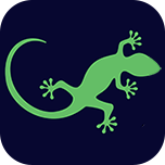 壁虎投屏app v3.5 最新版 壁虎投屏app v3.5 最新版