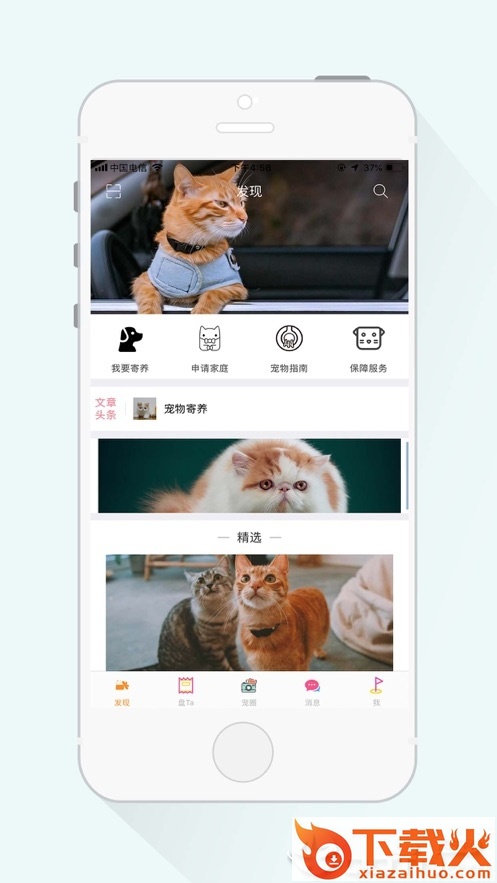 坚果墙截图2