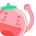 番茄英语电脑版下载-番茄英语下载v3.3.6 官方pc版