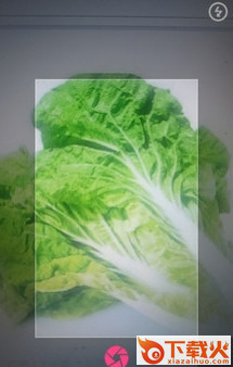 拍照识物app截图2