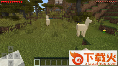 我的世界起床战争Minecraft Dungeons手机版截图2