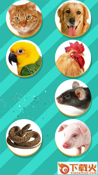 动物翻译器Pet Translator下载正版最新版截图3