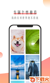 米柚壁纸app截图2