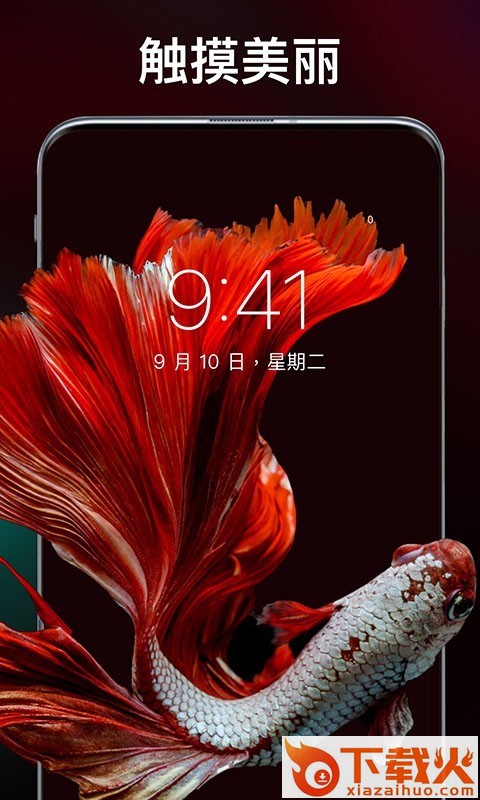 灵猫壁纸大全截图2