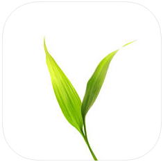 微博士学生端app苹果下载-微博士学生端ios版(微博士家长端)下载v5.0.12 iphone手机版
