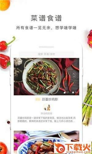 好大厨菜谱截图2