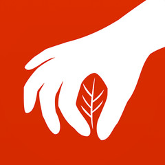 药采采app v2.0.2 最新版 药采采app v2.0.2 最新版