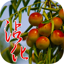 甜蜜沾化 v1.0.2 安卓版