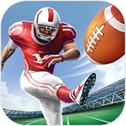 愤怒的橄榄球游戏下载-Football Field Kick(愤怒的橄榄球)v1.20 安卓版