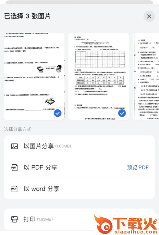 蜜蜂试卷官方正版截图3