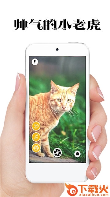 猫咪相机截图2