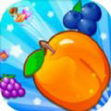 球球看看 v1.0.3 安卓版