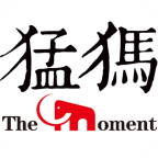 猛犸新闻app下载 v5.0.0 安卓版