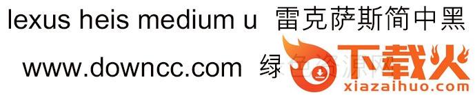 lexus 简中黑 u medium