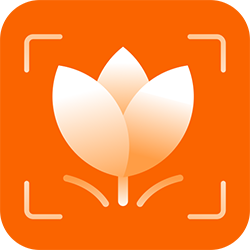 万能识物免费版手机版下载安装-万能识物appv1.7.0 官方版