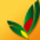 平板电脑点菜系统 v26.8.8 增强版 平板电脑点菜系统 v26.8.8 增强版