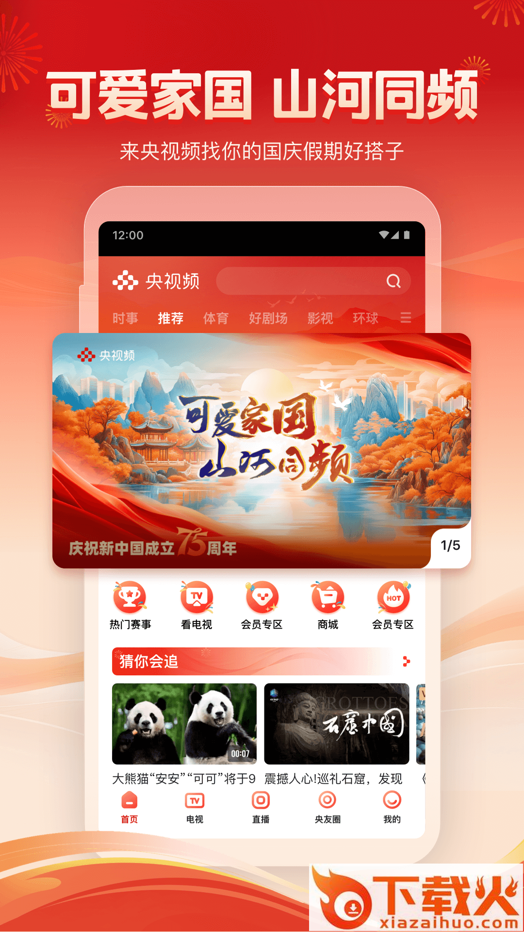 央视频TV版截图1