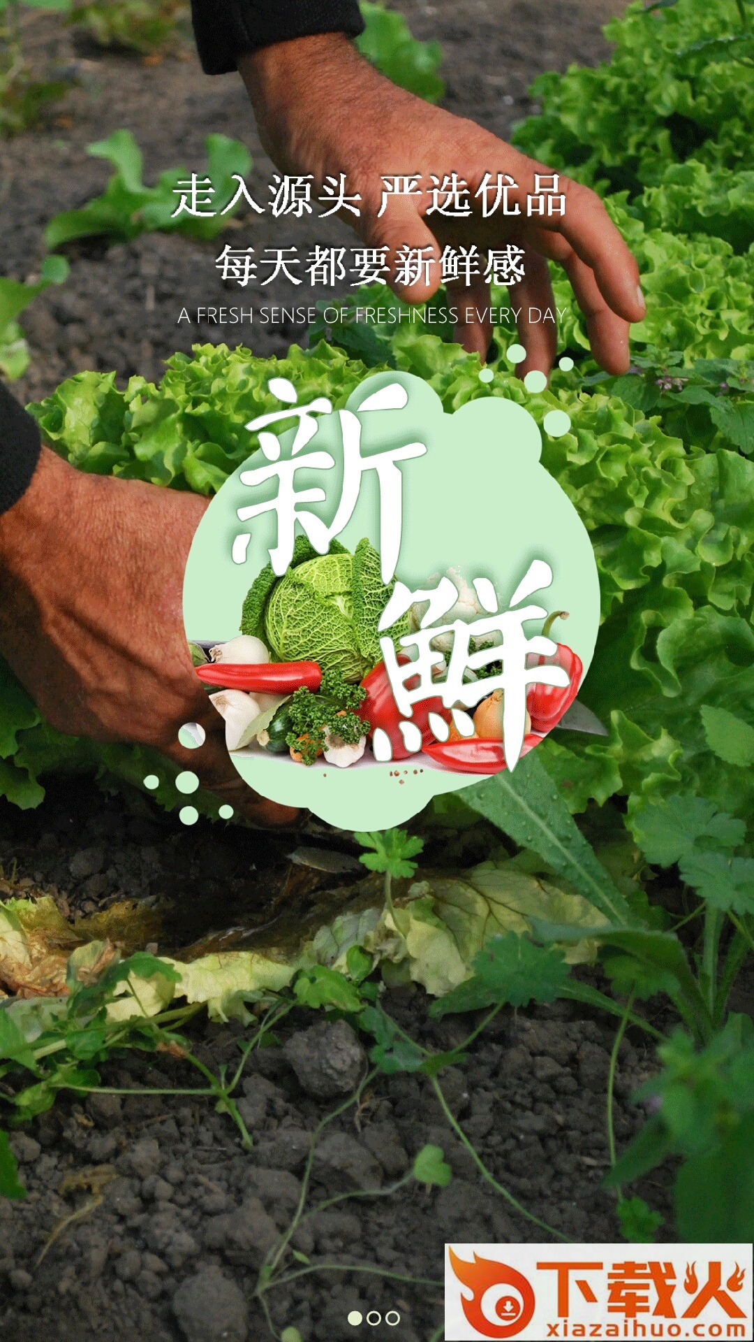 鲜品汇截图2