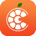 维C圆播电脑版下载-维C圆播官方版下载v3.1.7 最新版
