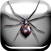蜘蛛恶作剧简版ios版 v1.0 iphone越狱版 
