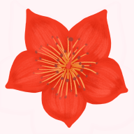 爱我崇左下载 v2.1.9 安卓版