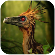 伤齿龙模拟器(Troodon Simulator) v1.0.9 最新版 伤齿龙模拟器(Troodon Simulator) v1.0.9 最新版