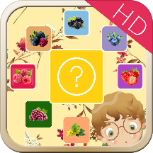 宝宝水果猜猜乐HD v1.0.0 安卓版 宝宝水果猜猜乐HD v1.0.0 安卓版