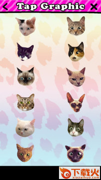 catwang美图软件截图2
