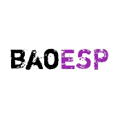 baoesp2.2.1最新卡密 v2.2.1 最新版
