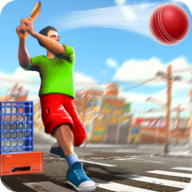 街头板球锦标赛Street Cricket v1.0 安卓版 街头板球锦标赛Street Cricket v1.0 安卓版