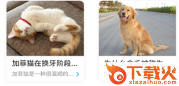 狗猫翻译器app截图3