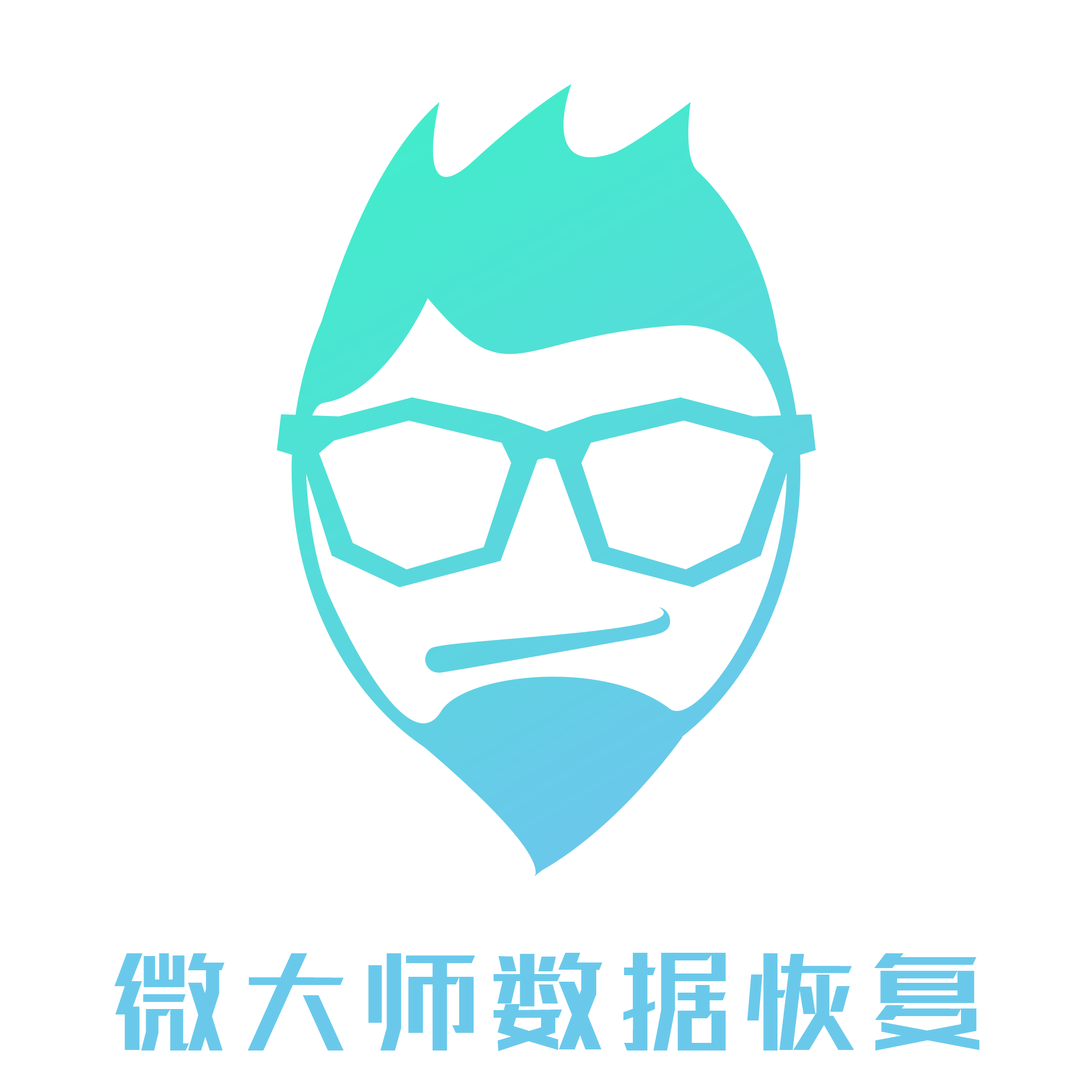 微大师数据恢复软件下载-微大师数据恢复appv1.0.2 最新版
