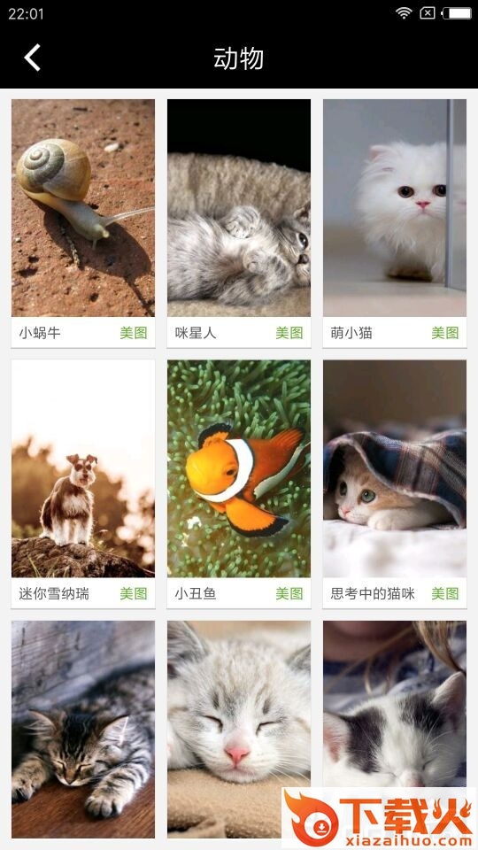 壁纸赚截图2